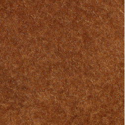 cinnamon_web