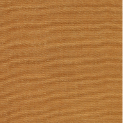 cinnamon_web_328809170