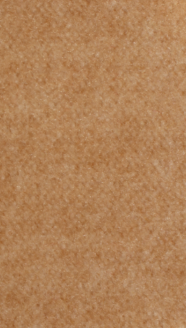 camel_web_889019429