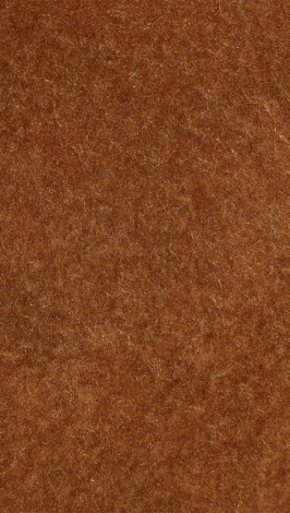 cinnamon_web