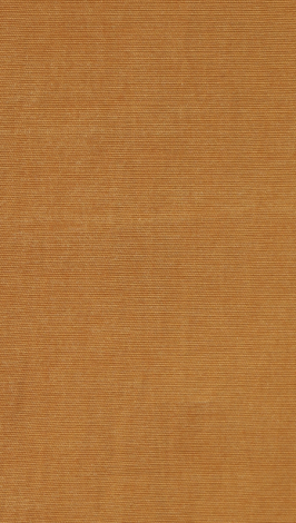 cinnamon_web_328809170
