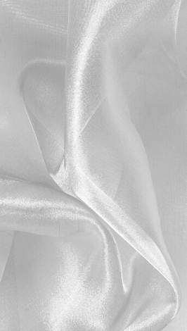 white_web_587176336