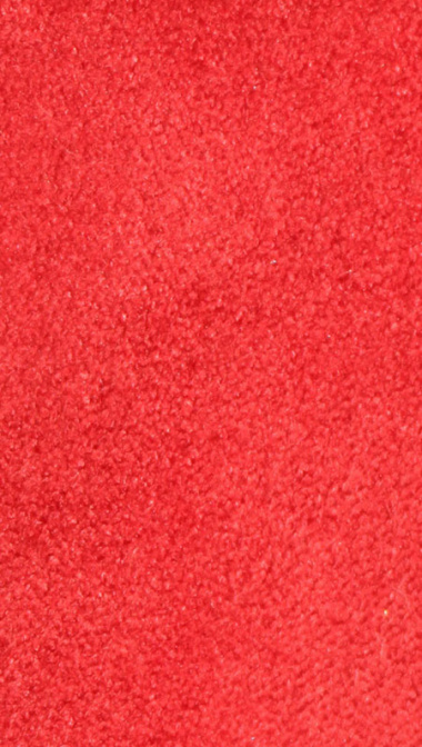 bengalina-suede-1_1452545728