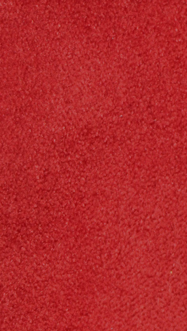 bengalina-suede-2_343656202