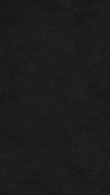 black_web_1772418202