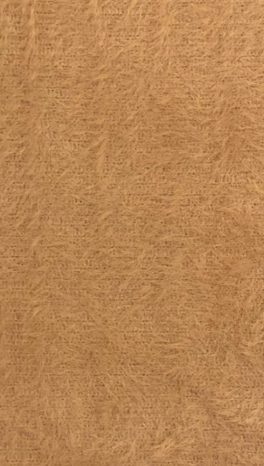 camel_web_grande