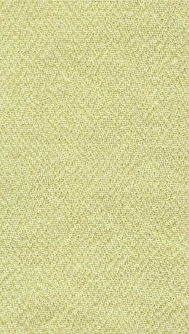 lemon_web_275672709