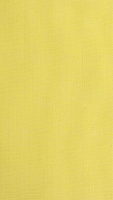 lemon_web_962211466