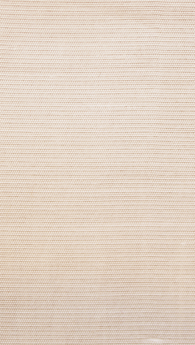 shell_web